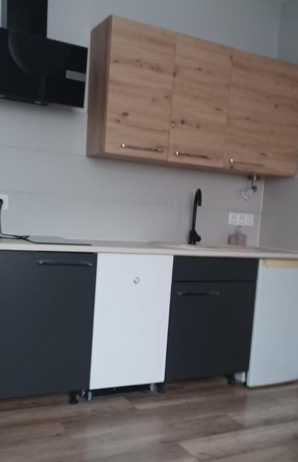 Apartamenty W Starym Kinie Swieradow-Zdroj Exterior photo
